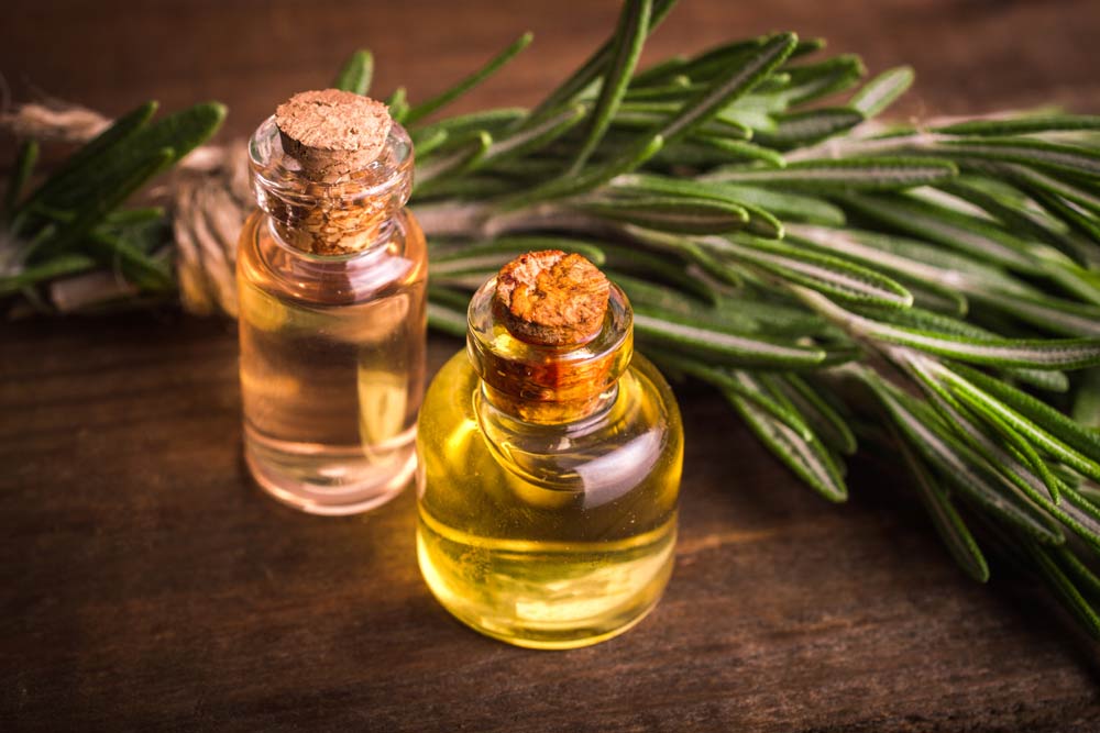 Rosemary Essential Oil Benefits